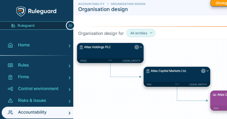 Firms Organisation Design-1