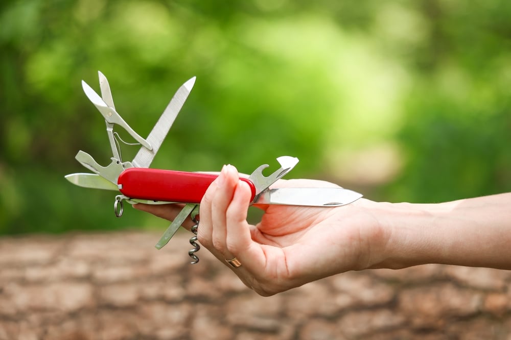 shutterstock_2663164815