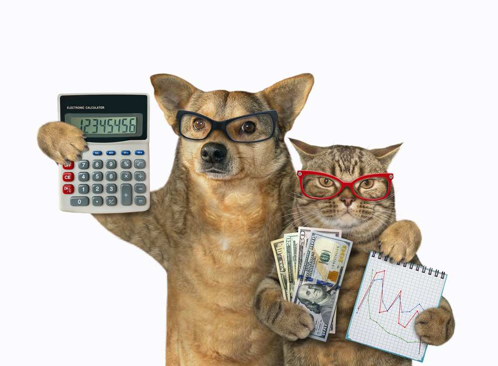 Finfluencers Under Fire: Global Clean-Up of Rogue Financial Promotions